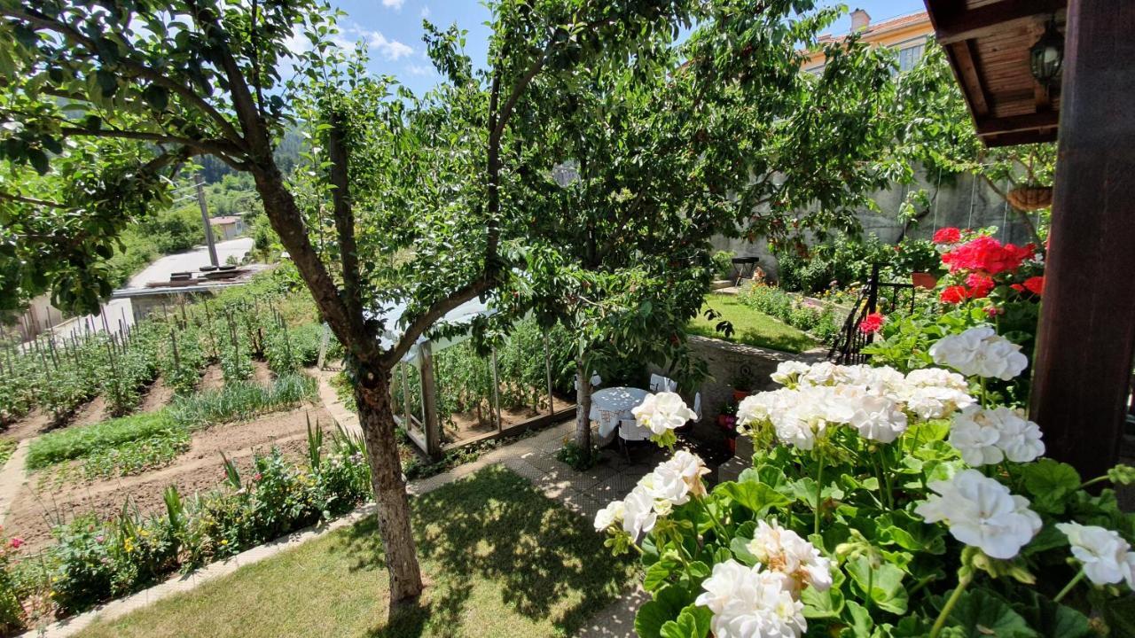 Къща За Гости Солакови ** Devin Exterior photo